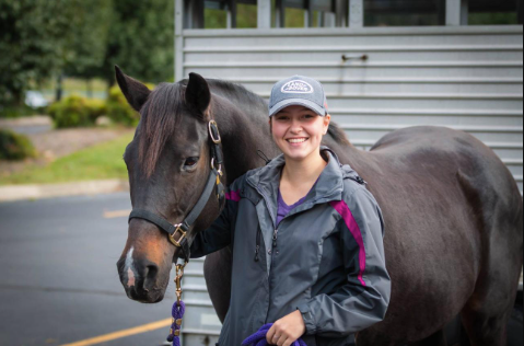 How to Pursue a Degree in Equine Science and Sports Management